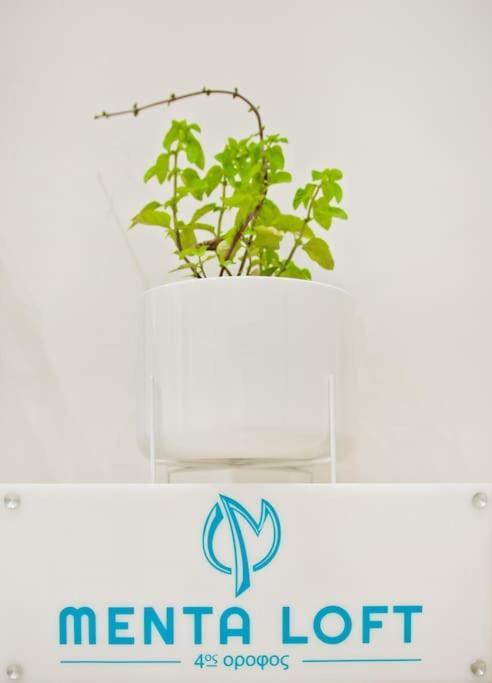 Appartement Menta Loft